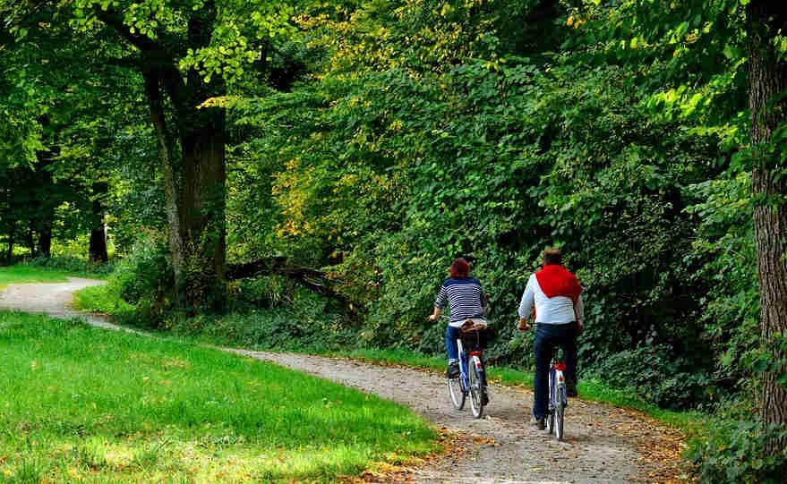 Fietsongeval hobbels door boomwortels, worteldruk letselschade, letsel door val over boomwortel, Rechtbank Oost-Brabant 2 juli 2024, ECLI:NL:RBOBR:2024:3114